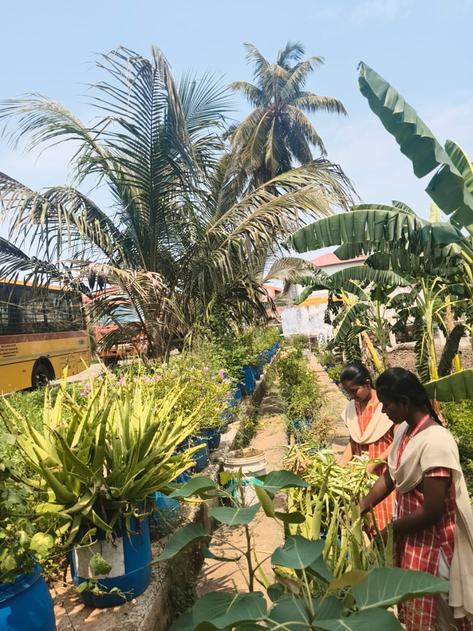 Herbal Garden 3.jpeg